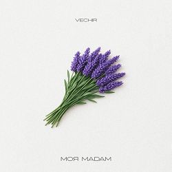 VECHIR - моя мадам