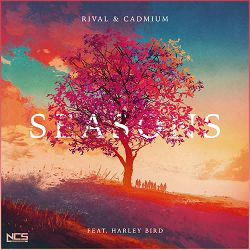 Rival, CADMIUM, Harley Bird - Seasons