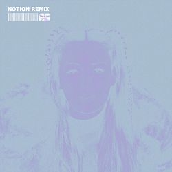 Chrystal - The Days - NOTION Remix