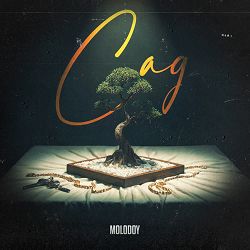 MOLODOY - Сад