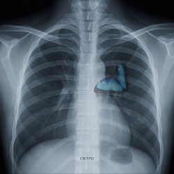 Vsivdoma - Світло