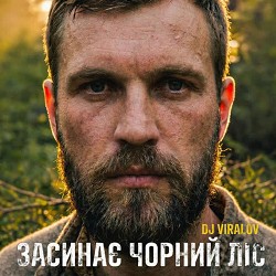 Dj Viralov - Засинає Чорний ліс - Deep House