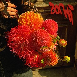 Ризиковий План, Siddhārtha - Вогні