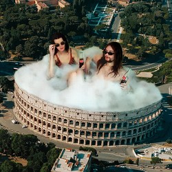 лис та пес - літо