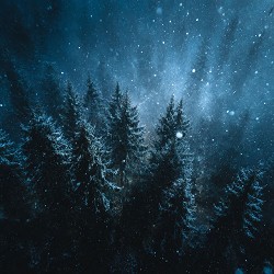 sinalyx - silent woods