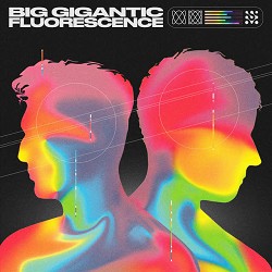 Big Gigantic, Koastle, Emilia Ali - Show Me