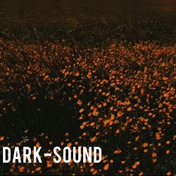 DARK-SOUND - Полиновий цвіт