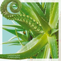 LATEXFAUNA - Lime