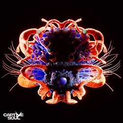 Korolova, Be No Rain - Distorted Love