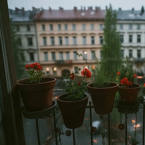 Oles Stepanov - Miss Marsella