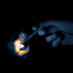 Твій зайчик пише - Ну і похуй