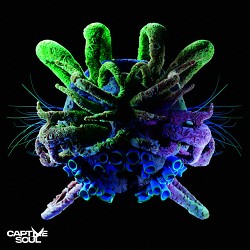 Korolova - Another Life