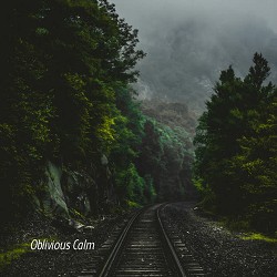 Echo Ark - Oblivious Calm