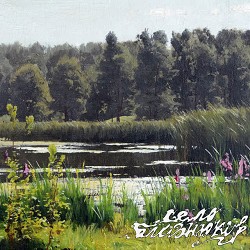 Село Близнюків - Світло (Буде в Очах)