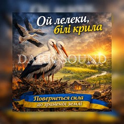 DARK-SOUND - Ой лелеки білі крила